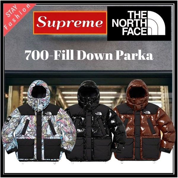 コラボ激レア!シュプリーム×ノースフェイス 700-Fill Down Parka 22110103